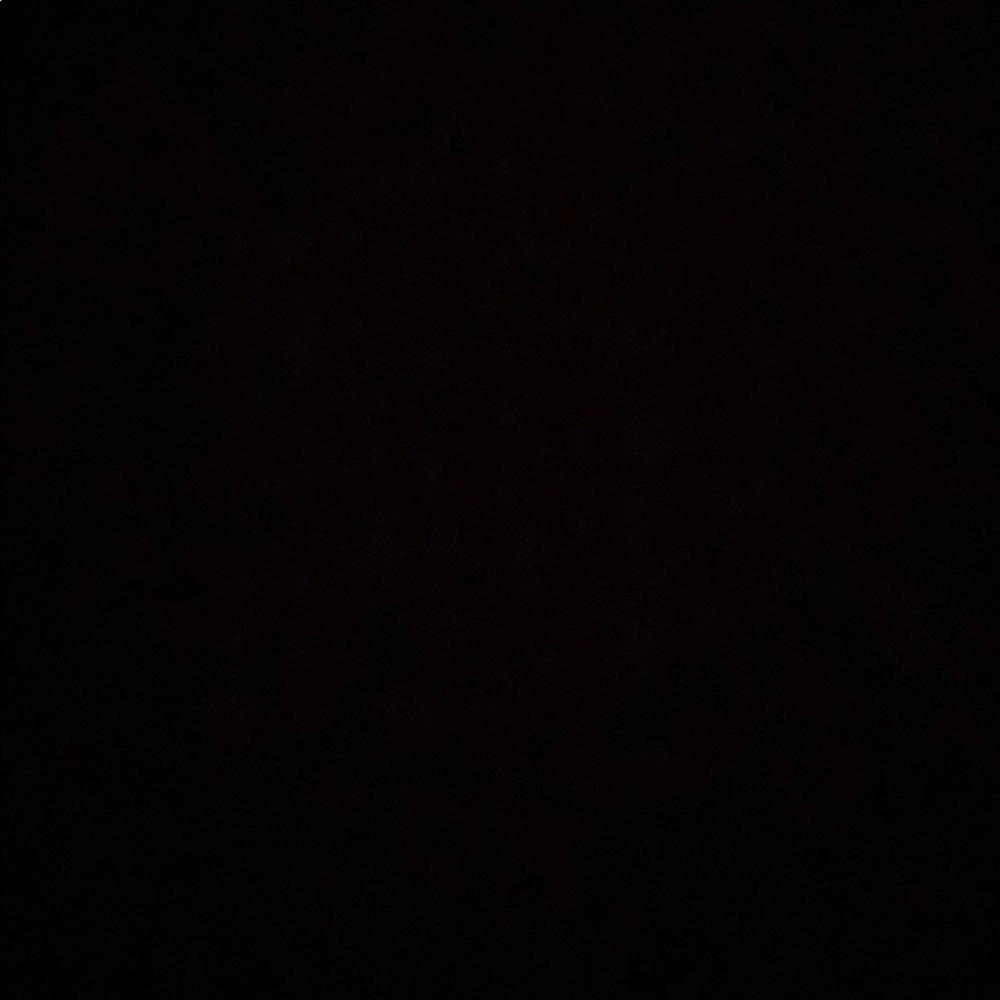 Meet your Posher, Dani